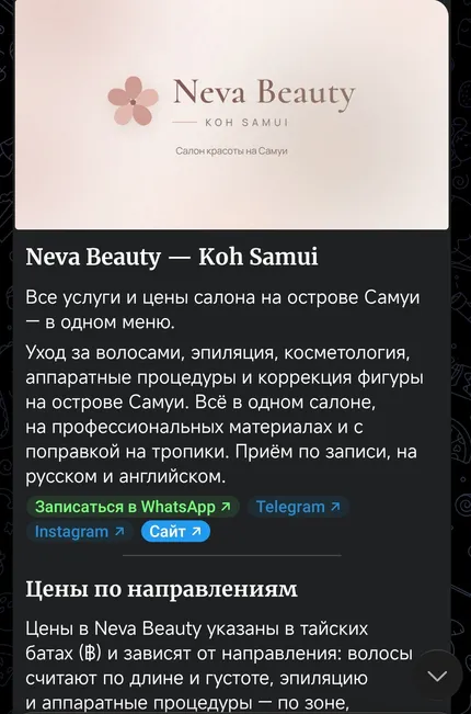 Закреплённое меню канала — обложка салона, описание и кнопки записи