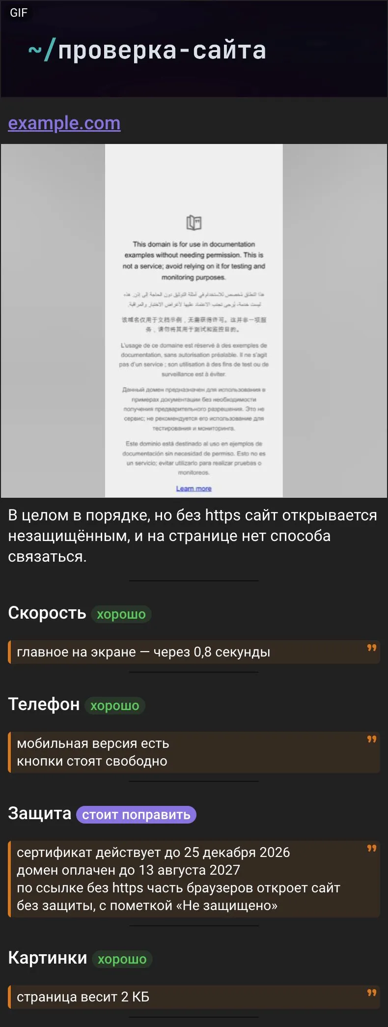 Начало отчёта по example.com: снимок первого экрана, итог, скорость, телефон, защита и картинки